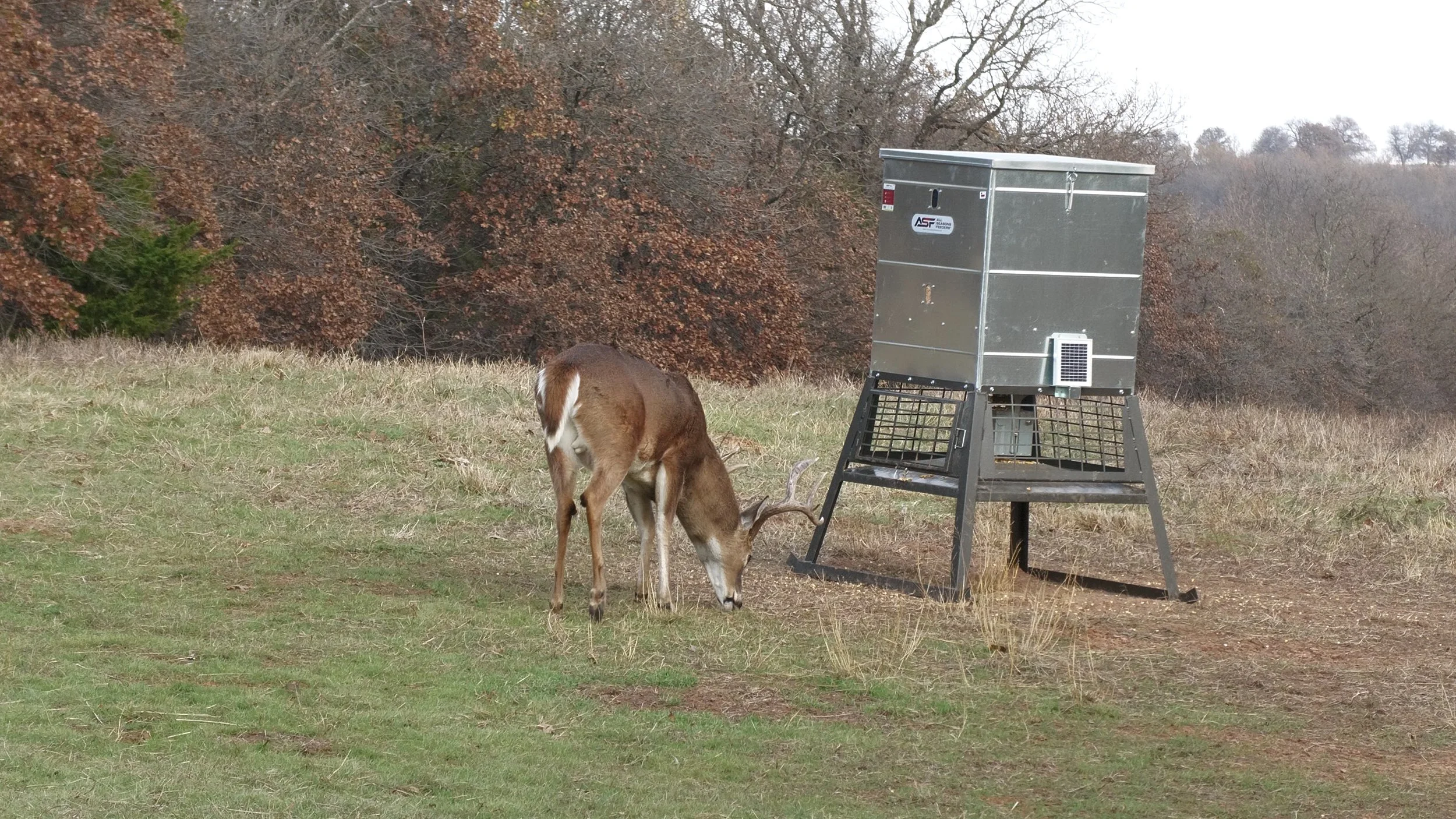 FID107_KW Doe Compound Bow Refuge 2025-P2X-VID-A141C009_251202_DJ0B.MP4.20_44_37_52.Still001.jpg