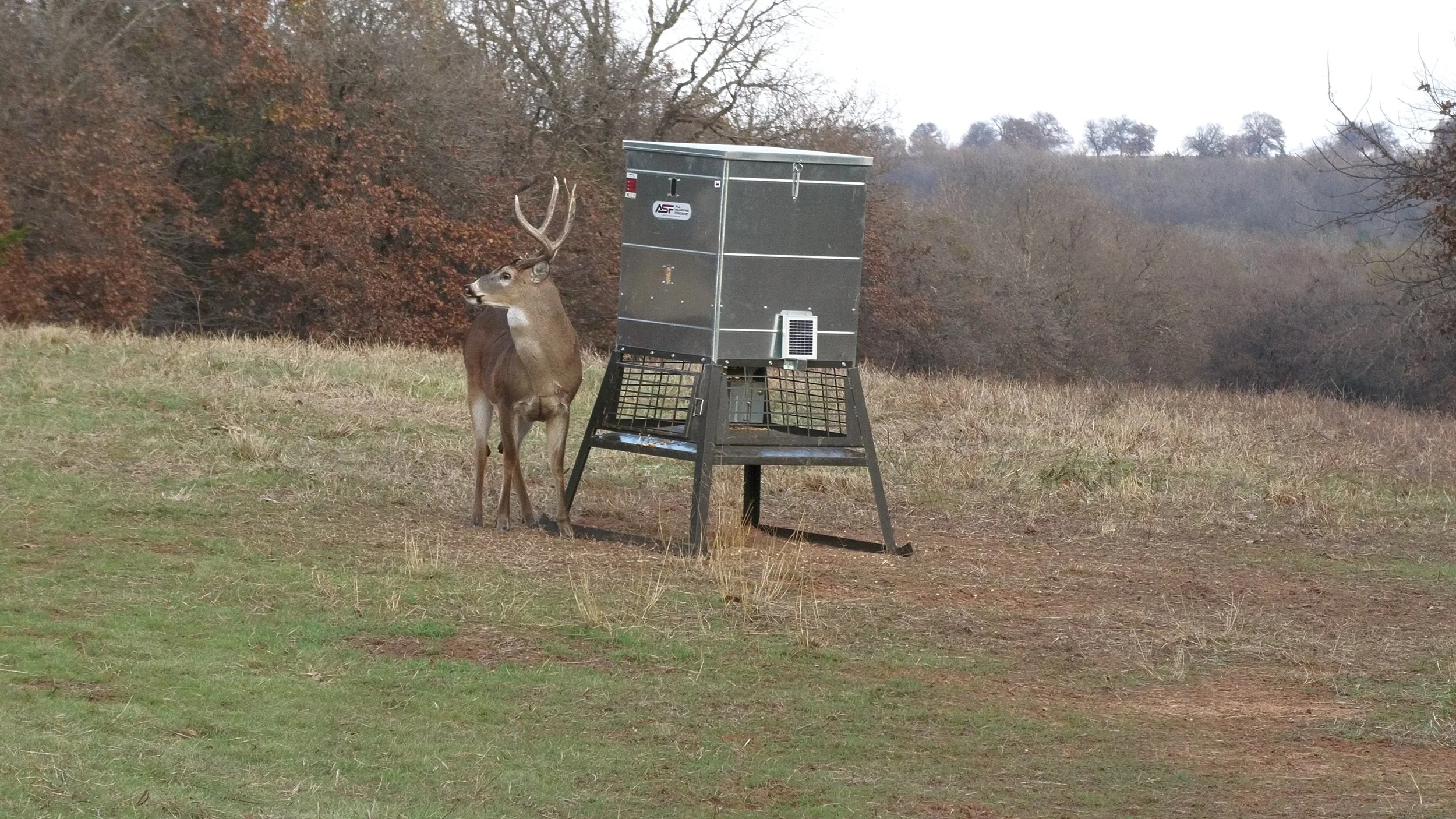 FID107_KW Doe Compound Bow Refuge 2025-P2X-VID-A141C017_251202_DJ0B.MP4.21_01_01_30.Still001.jpg