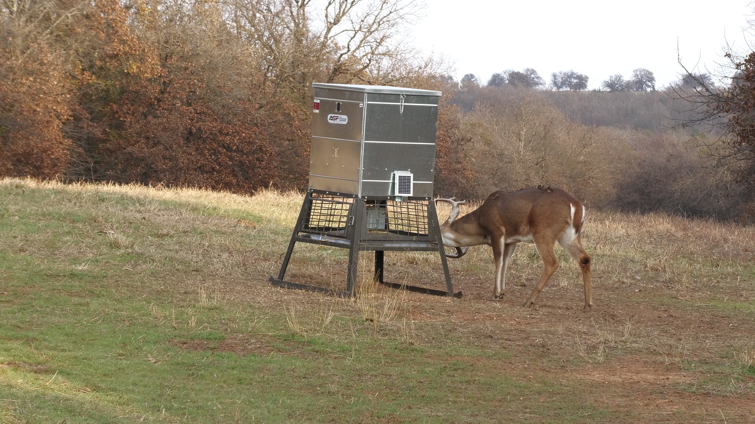 FID107_KW Doe Compound Bow Refuge 2025-P2X-VID-A141C016_251202_DJ0B.MP4.20_56_28_29.Still001.jpg