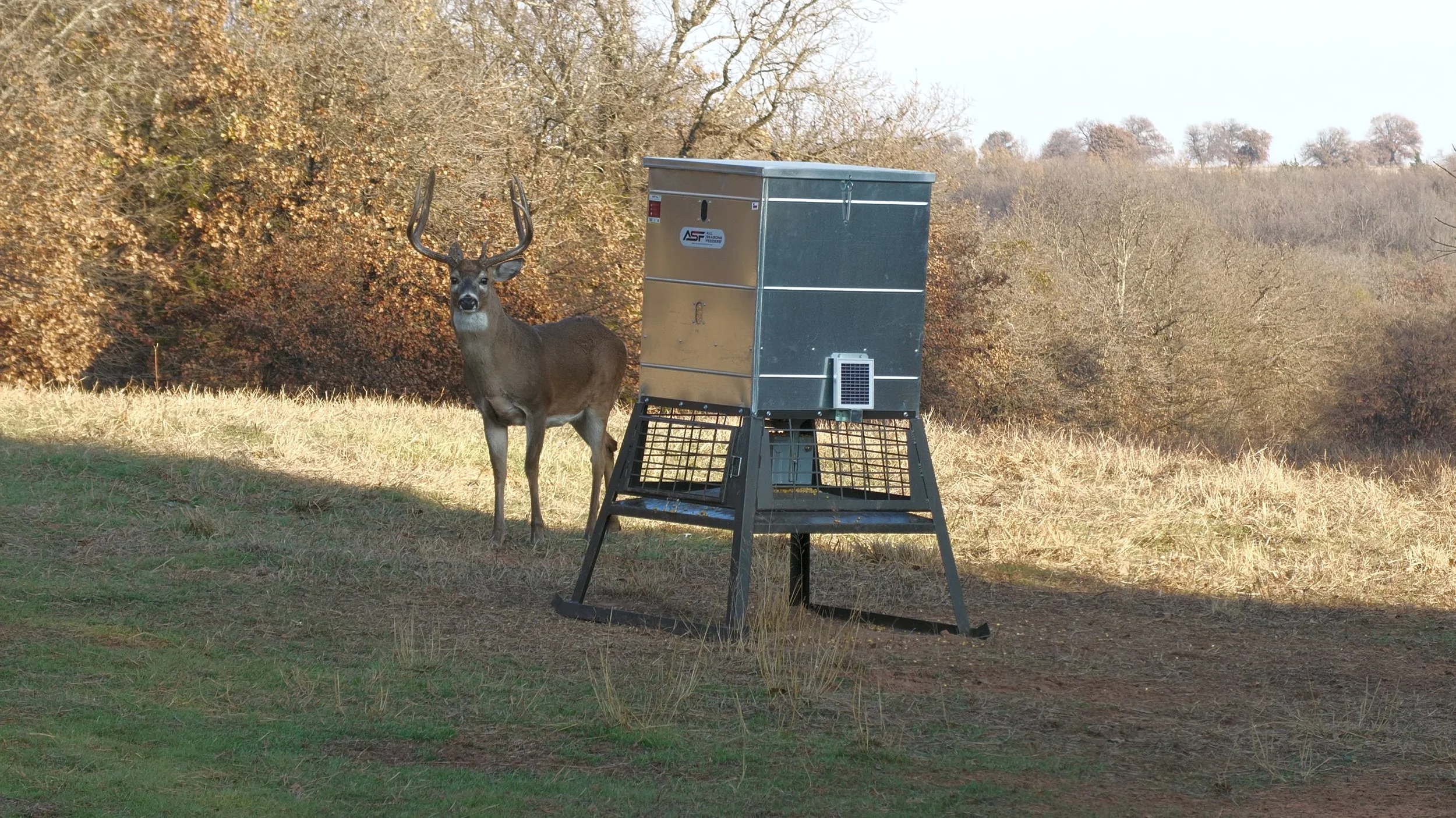 FID107_KW Doe Compound Bow Refuge 2025-P2X-VID-A141C044_251204_DJ0B.MP4.20_40_38_48.Still001.jpg
