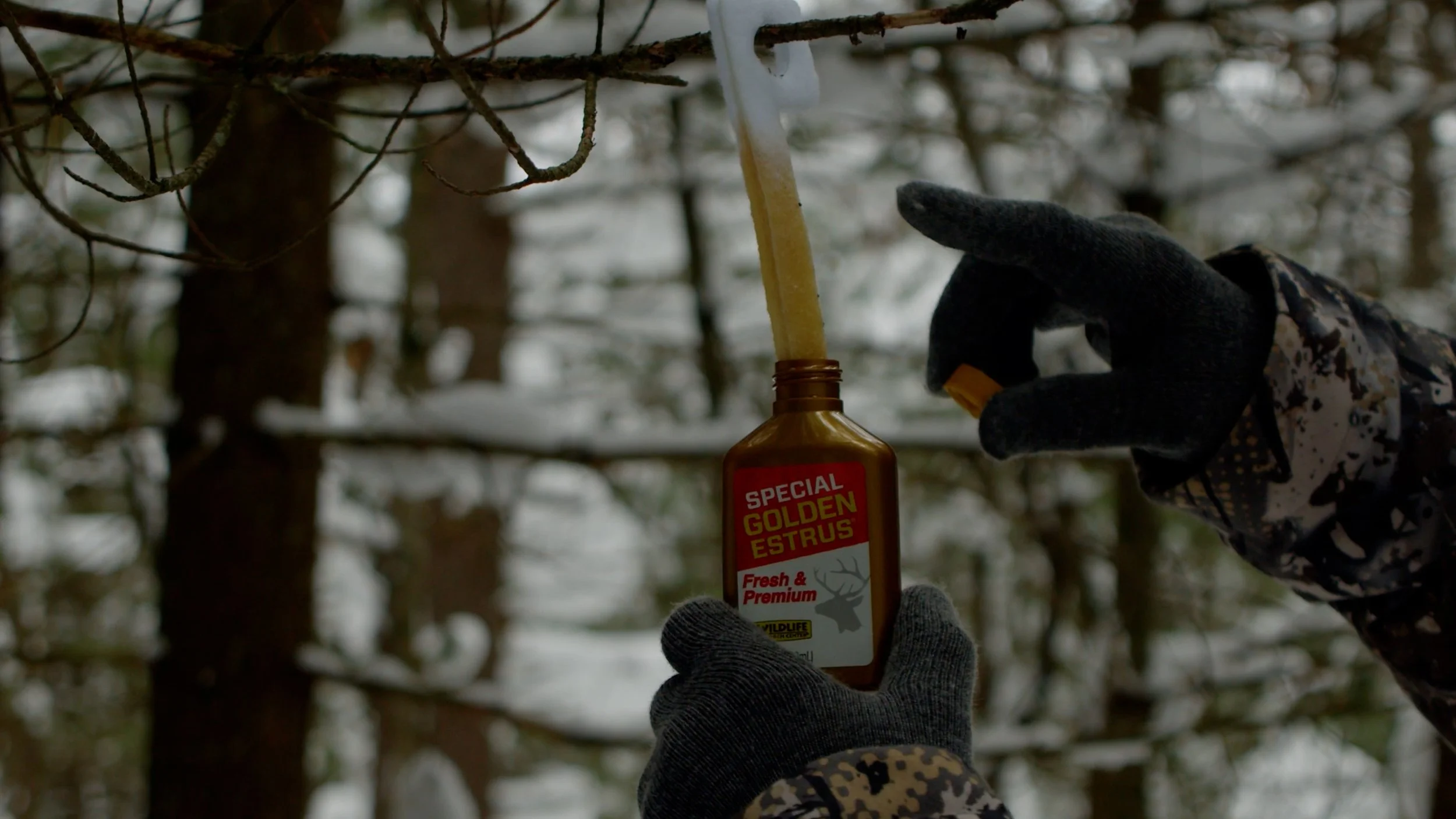 FID108_Legends Ladies Deer Farmers Hunt 2025-Day4-Black Magic-VID-A035_12160559_C036.mp4.05_59_59_03.Still002.jpg