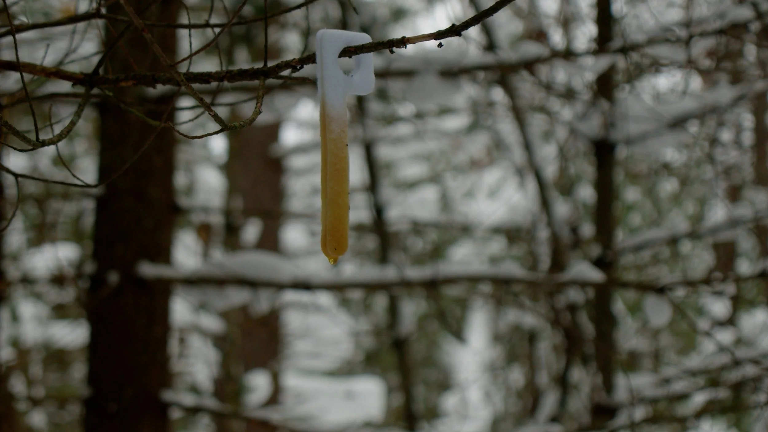 FID108_Legends Ladies Deer Farmers Hunt 2025-Day4-Black Magic-VID-A035_12160559_C036.mp4.06_00_04_29.Still003.jpg