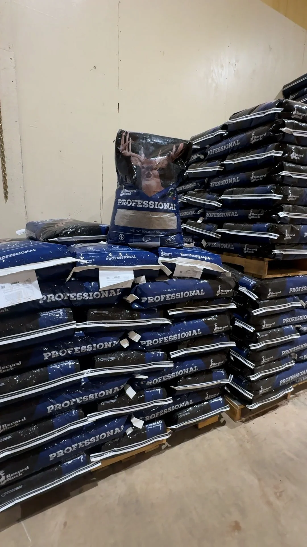 FID109_Record Rack Winter Feeding 2025-Vertical Camera-Dropbox Download-VID-IMG_6365 2.MOV.00_00_08_12.Still001.jpg