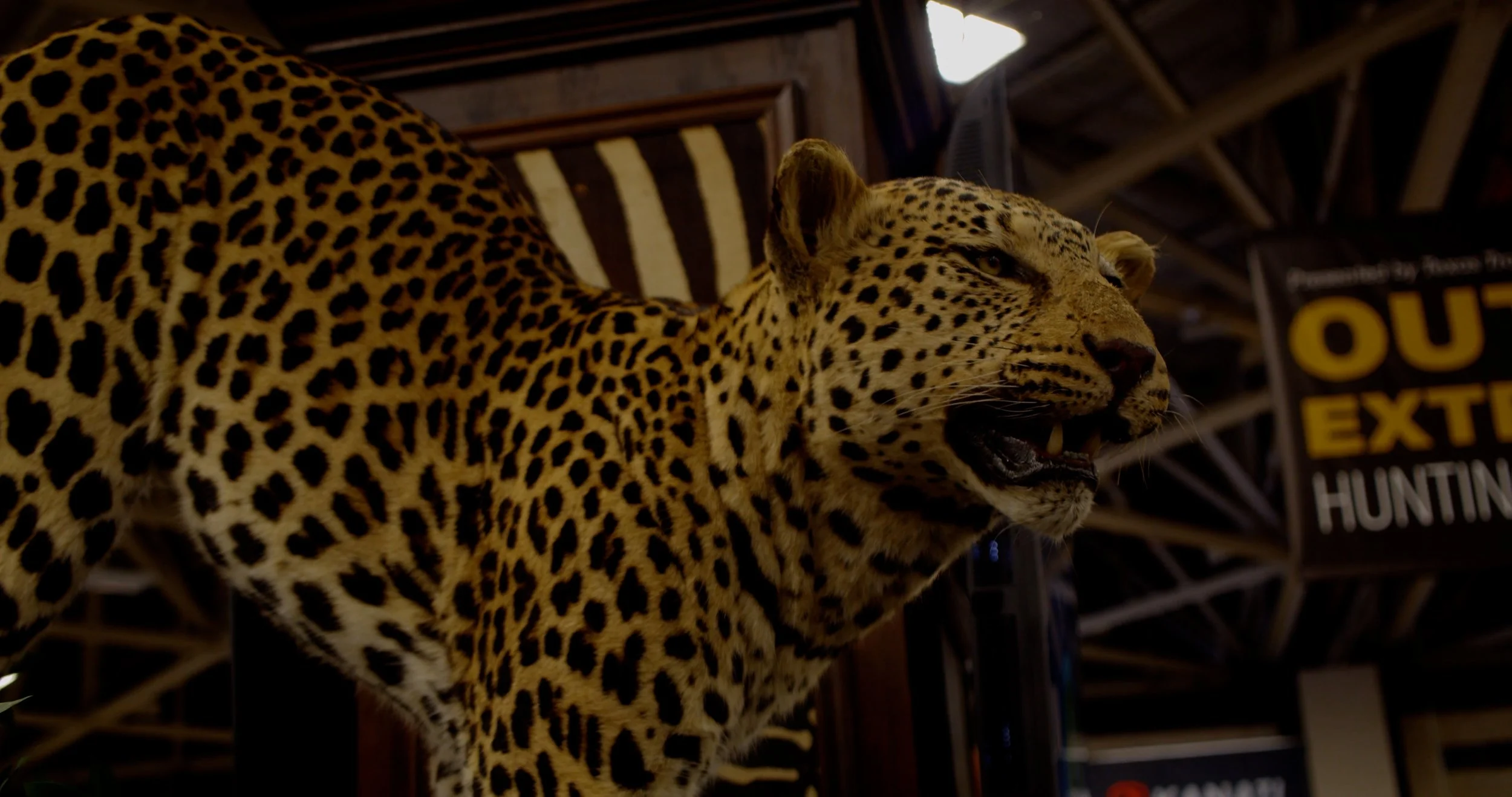 FID110_TTHA 2026 WiseEye & G2 Ranch-Black Magic-Card2-VID-A036_12311337_C089.mp4.13_37_26_39.Still001.jpg