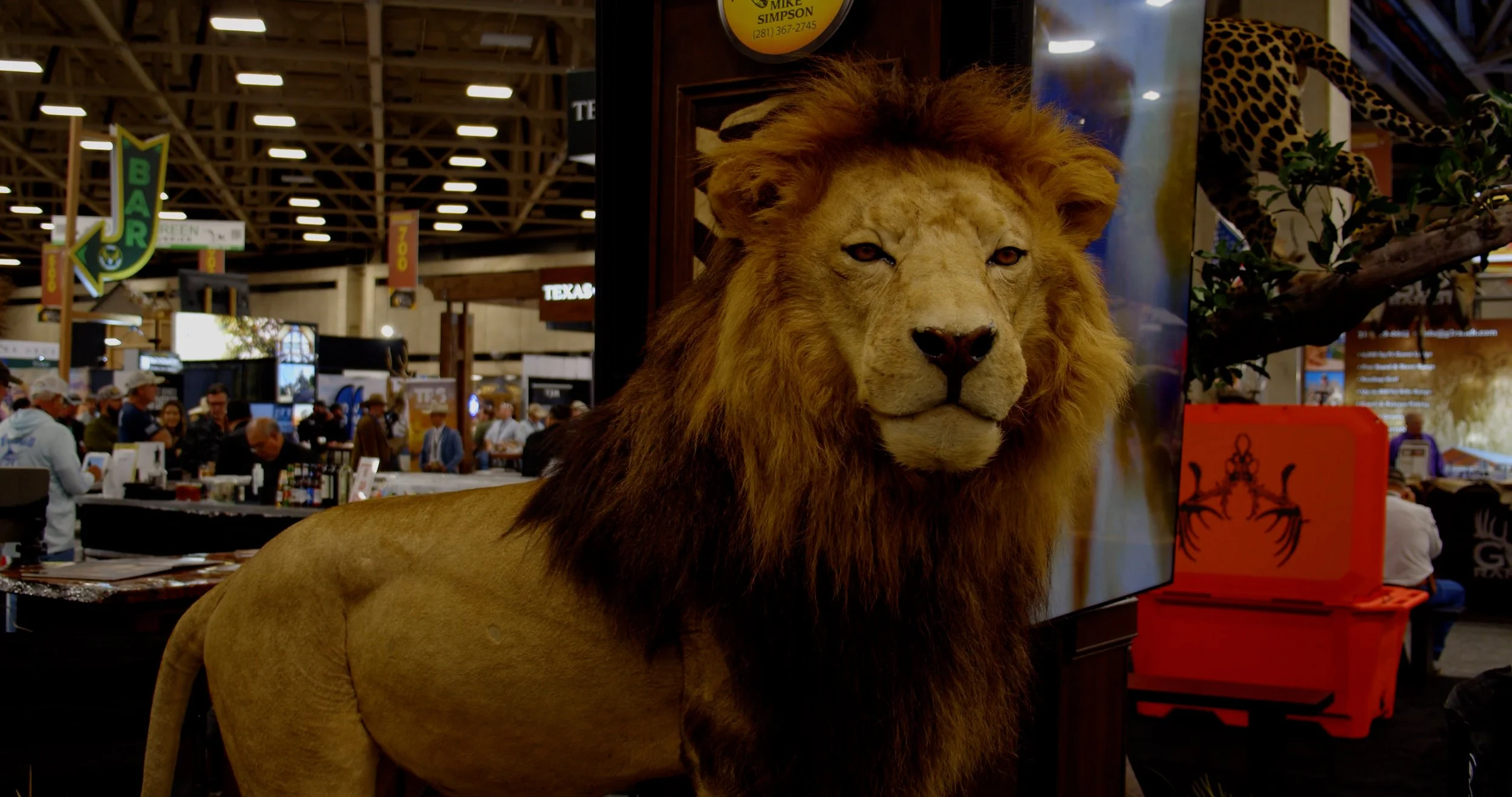 FID110_TTHA 2026 WiseEye & G2 Ranch-Black Magic-Card2-VID-A036_12311336_C086.mp4.13_36_54_22.Still001.jpg