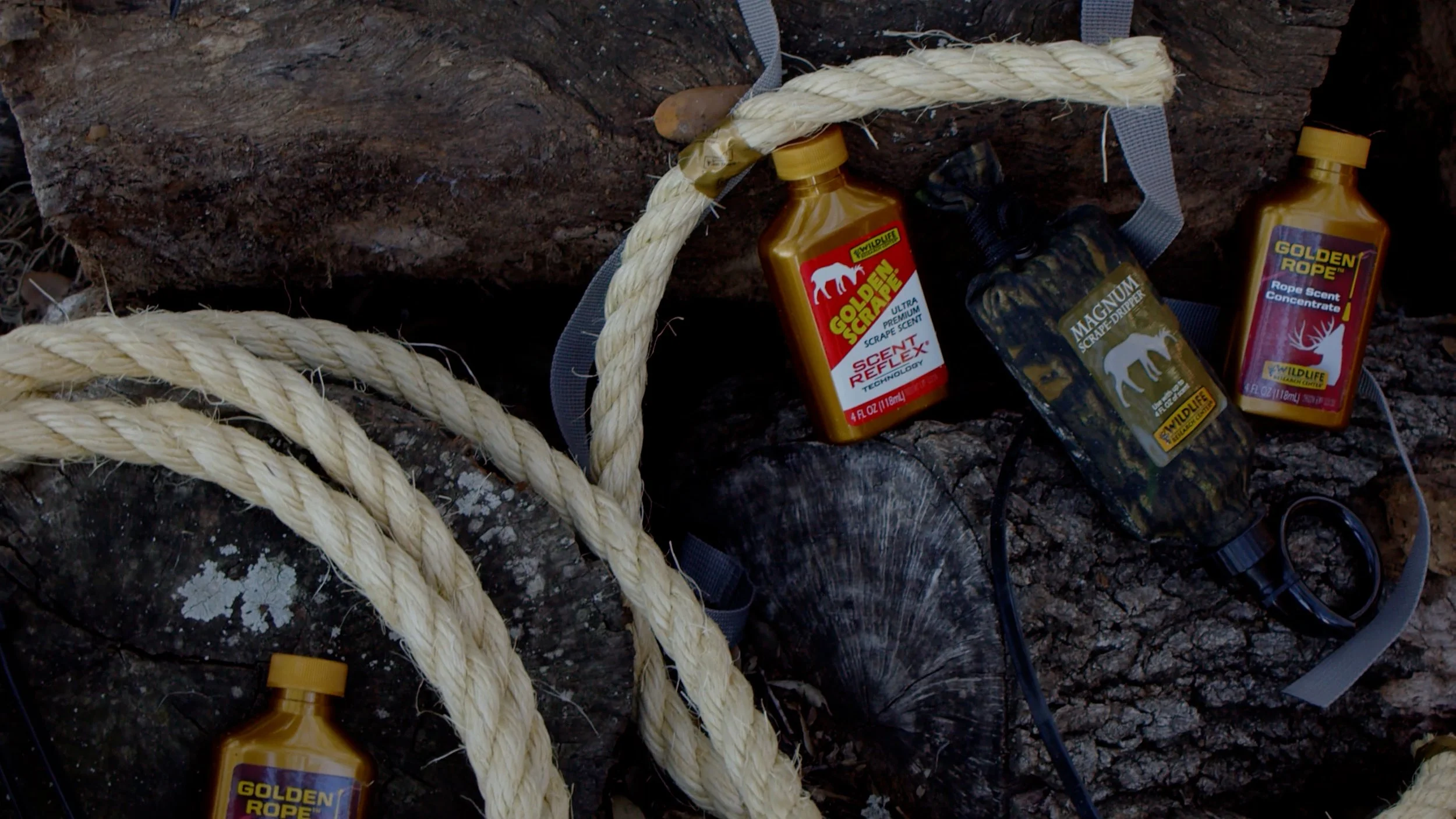 MISC Projects 2026_WRC Commercials_A037_01091903_C030.mp4.19_03_08_55.Still001.jpg