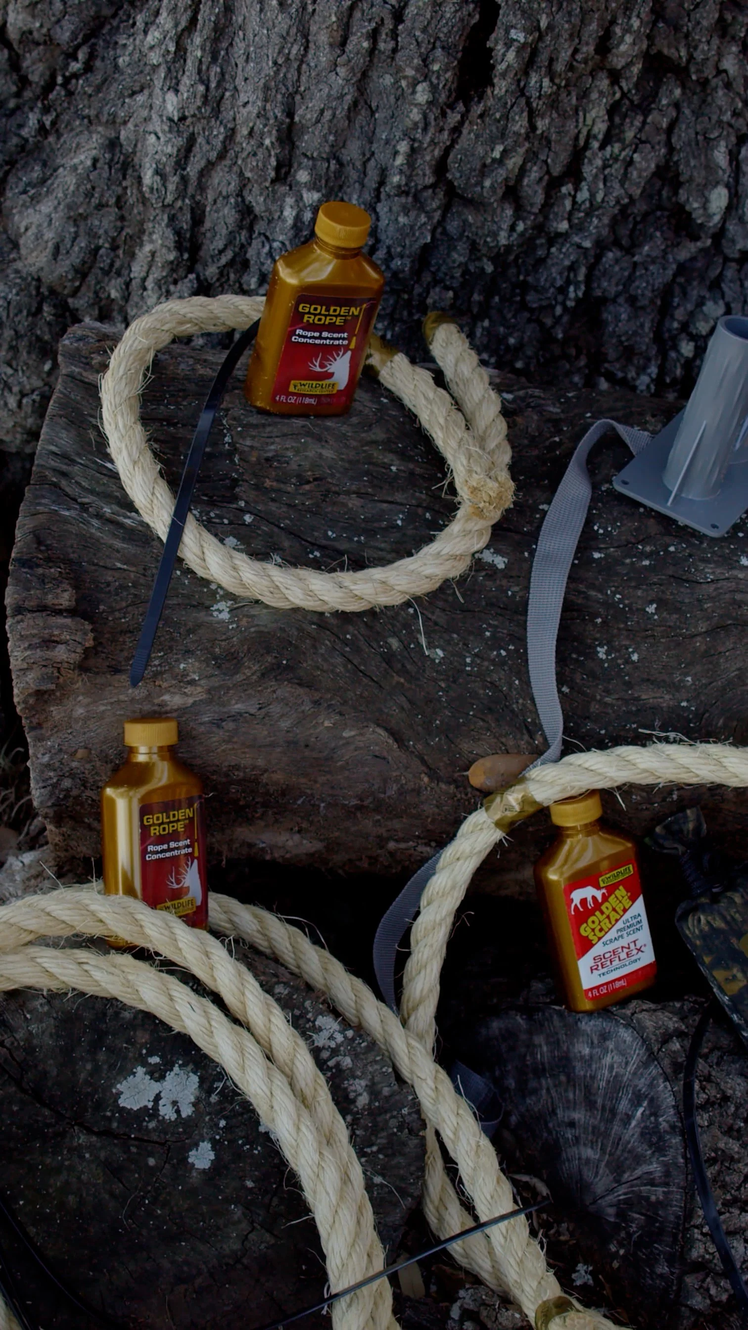 MISC Projects 2026_WRC Commercials_A037_01091905_C038.mp4.19_05_12_50.Still001.jpg