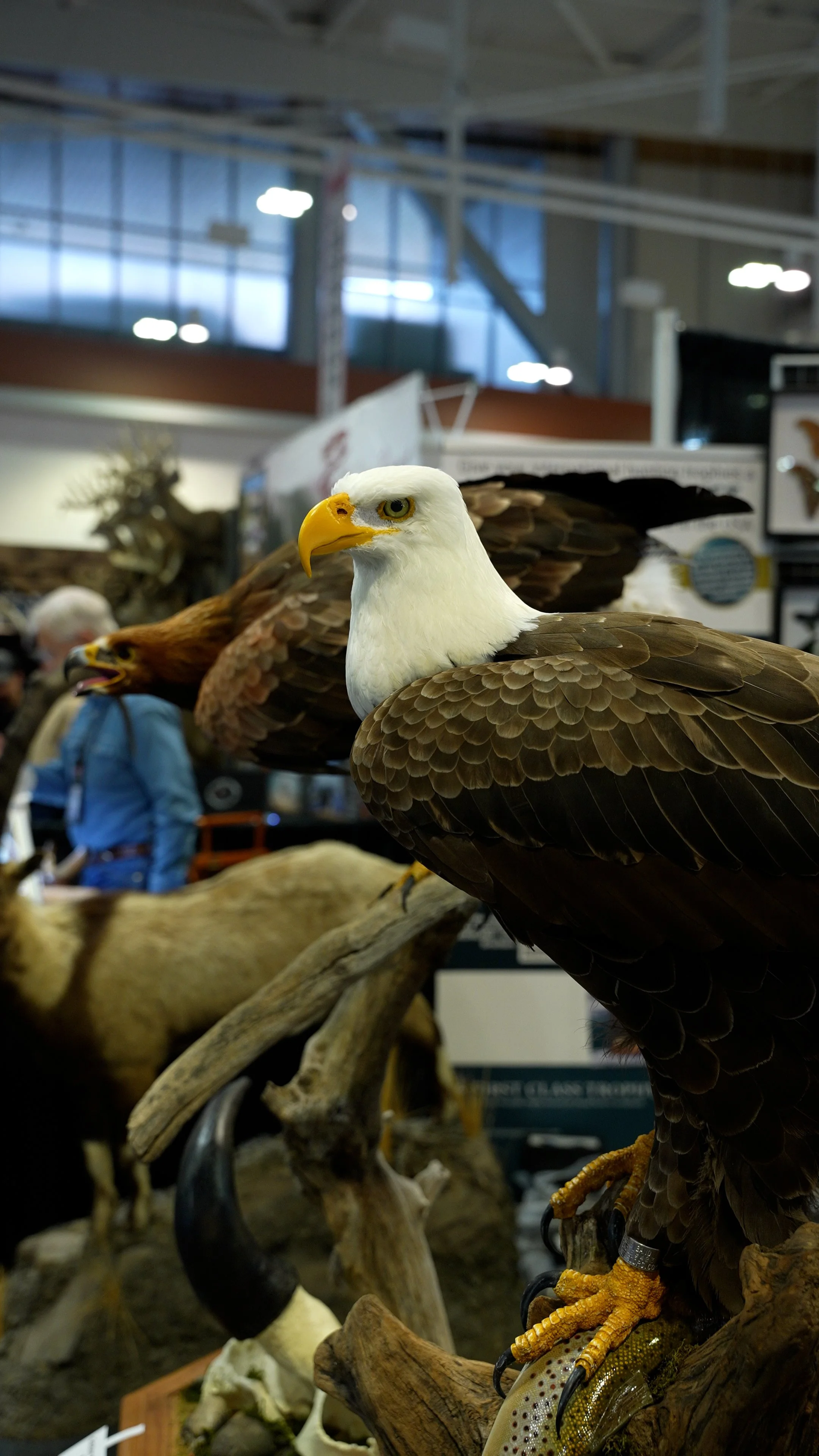 FID112_SCI Nashville 2026-Day1-Footage-VID-C7643.MP4.02_04_18_03.Still001.jpg