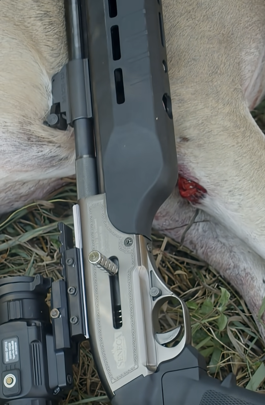 AIRGUN VS Management Deer!