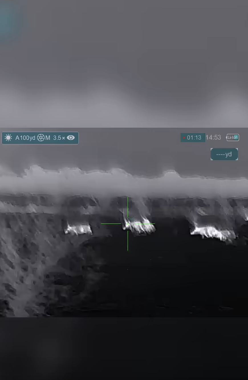 Hog Hunting Chaos: Epic Nighttime Hunt Goes Wild! #shorts