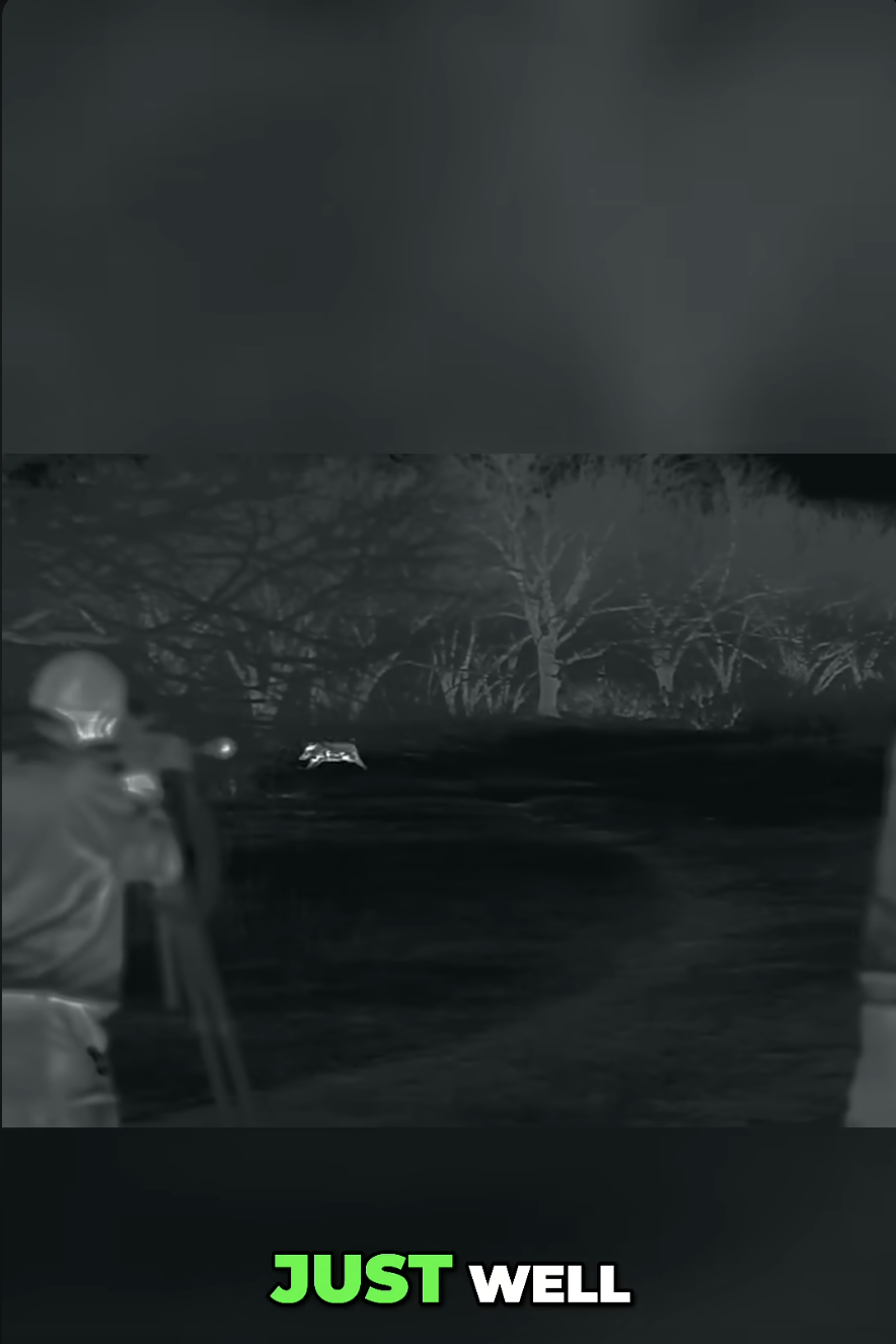 Hunting at Night! #hoghunting