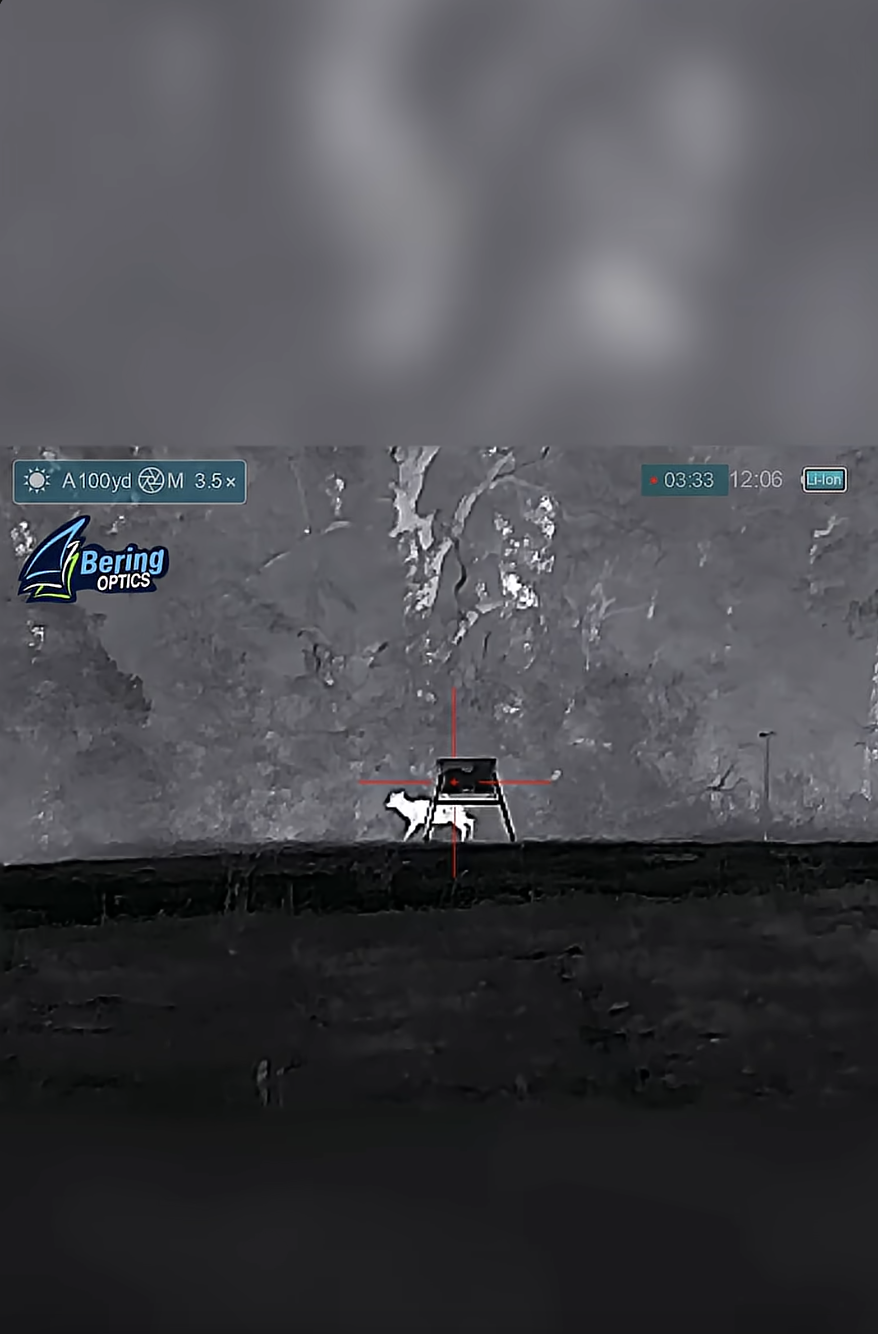 THERMAL Buck KILLSHOT!  #highroadhunting