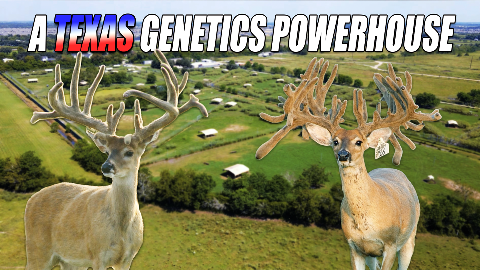 Inside Tajada Whitetails: A Texas Genetics Powerhouse