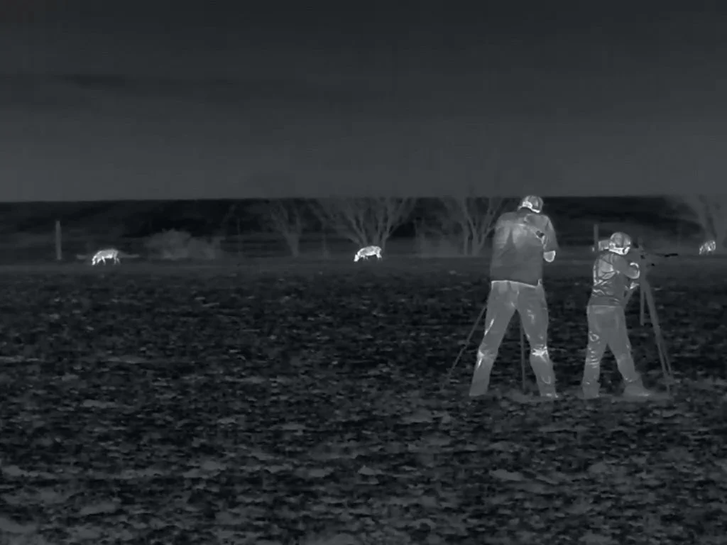 FID113_Cody Hartke Bering Hog Hunt 2026-Day1-Bering-Phenom-Card3_2-VID-VID_023518.mp4.00_00_33_07.Still001.jpg