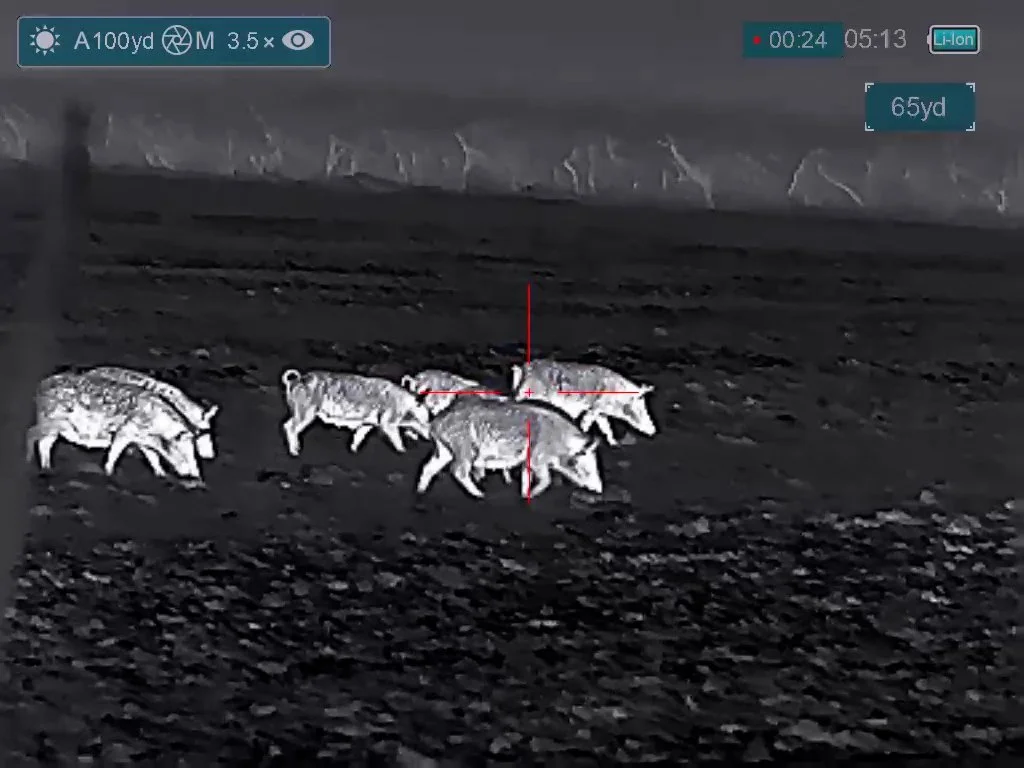 FID113_Cody Hartke Bering Hog Hunt 2026-Day1-Bering-Super Hogster-Card1-VID-VID_051258.mp4.00_00_25_13.Still001.jpg