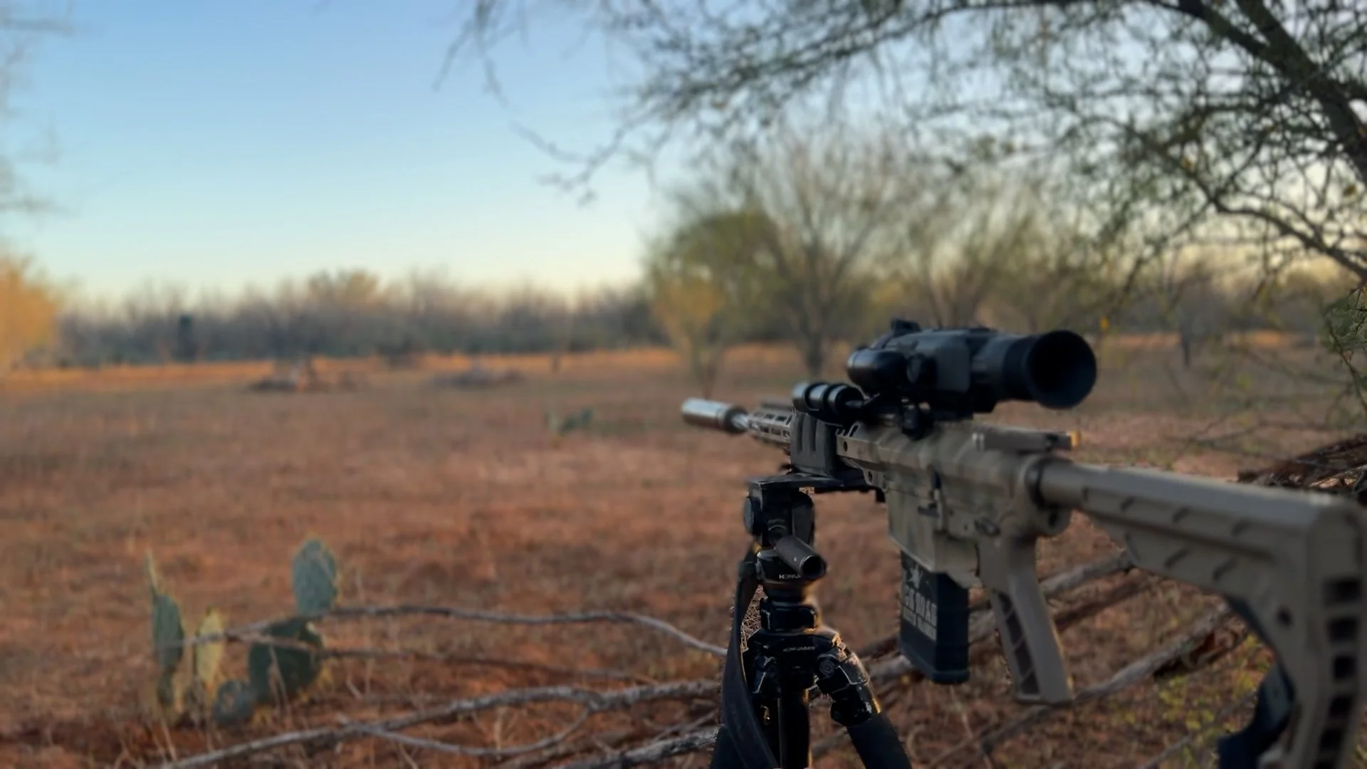 FID113_Cody Hartke Bering Hog Hunt 2026-Day1-iPhone_KW-VID-IMG_7355.mov.00_00_22_08.Still002.jpg