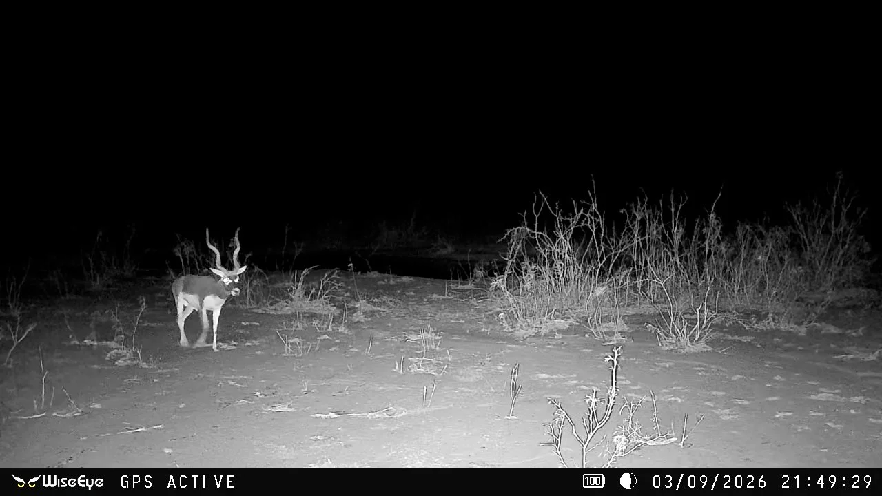 FID115_G2 Ranch Bryson Axis & Nilgai Giveaway 2026-WiseEye-VID-GHRE0656.MOV.00_00_00_11.Still001.jpg