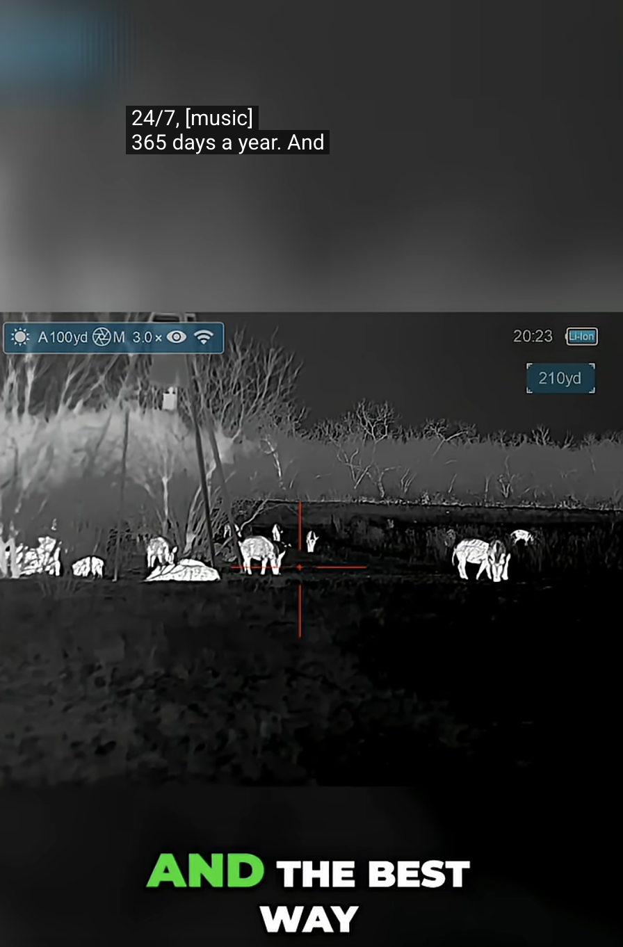 Hunt Hogs at NIGHT! Thermal Optics Are The BEST Way to Hunt #shorts