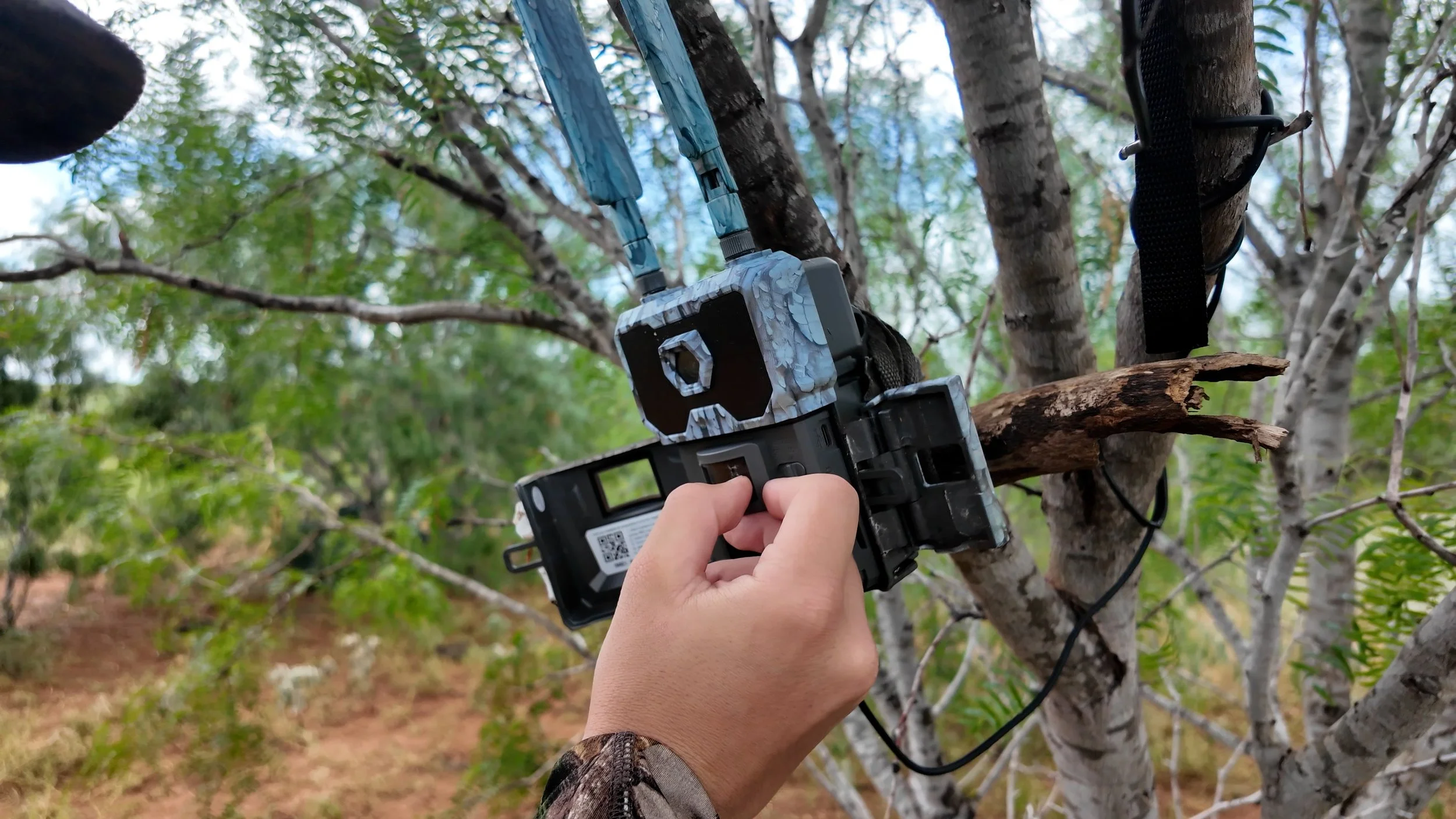 FID121_WiseEye Hog Hunt 2026-Osmo 3-ViD-DJI_20260615041602_0016_D.MP4.17_15_40_46.Still001.jpg