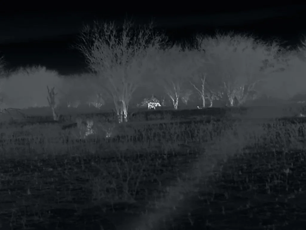 FID111_Bering Clip On Hog Hunt 2026-Bering_Phenom-Card2-VID-VID_191301.mp4.00_00_38_19.Still001.jpg