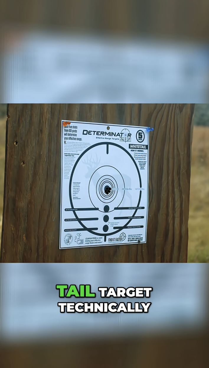Hunting Axis Deer: Tracking &amp; Entering the Blind for the Perfect Shot! #shorts