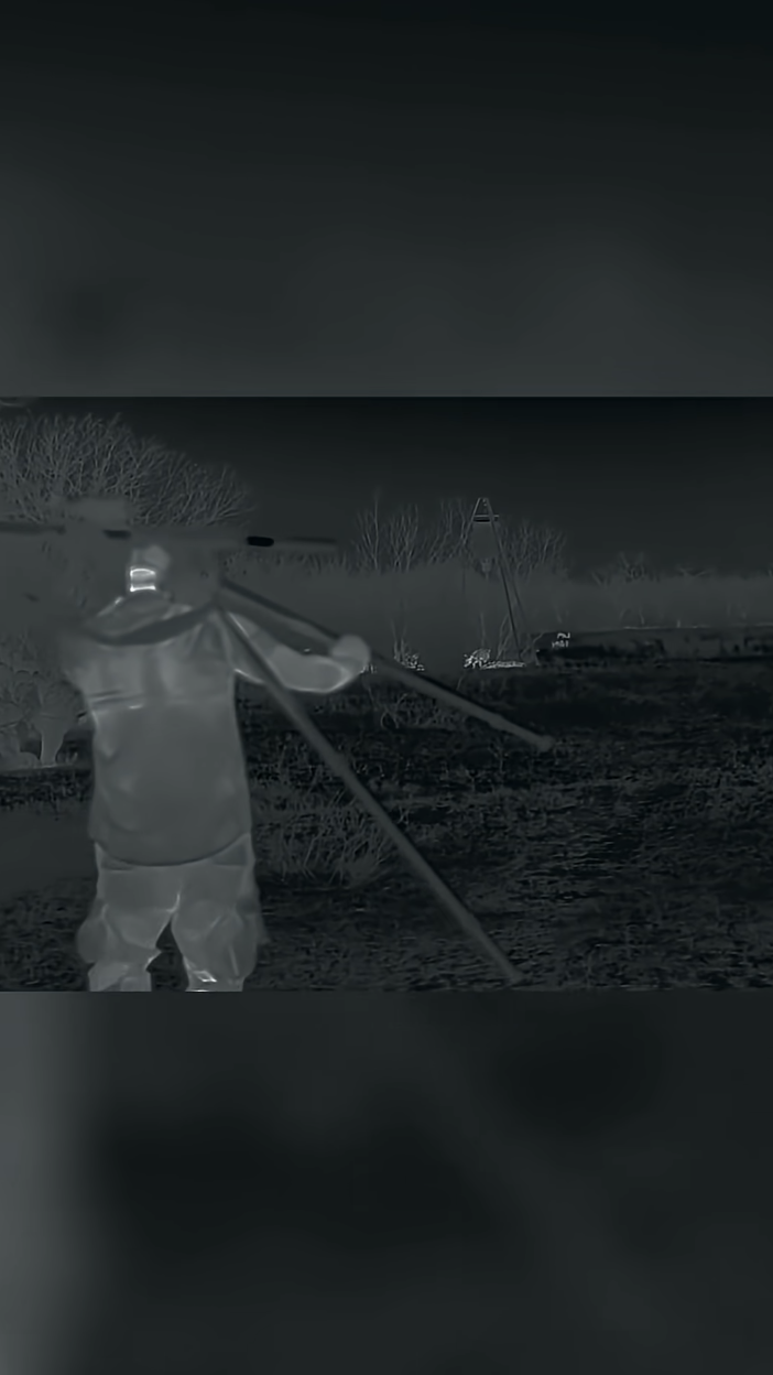 Stealth Hog Hunting: Thermal Scope Reveals Hogs Unaware! #shorts