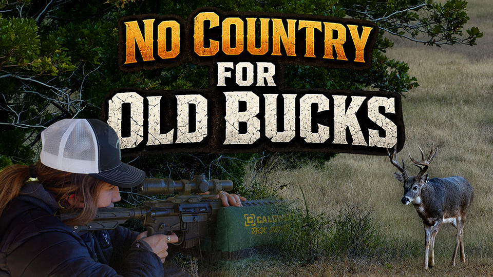 No Country For Old Bucks