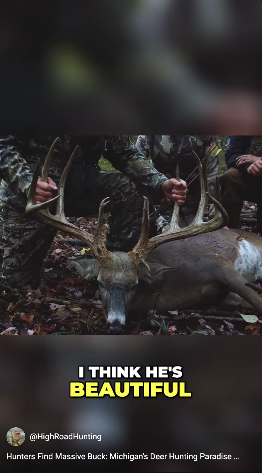 Hunters Find Massive Buck: Michigan's Deer Hunting Paradise Revealed! #shorts