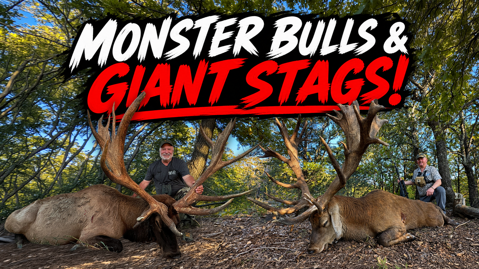 GIANTS IN THE RUT! Monster Elk &amp; Red Stag Hunt