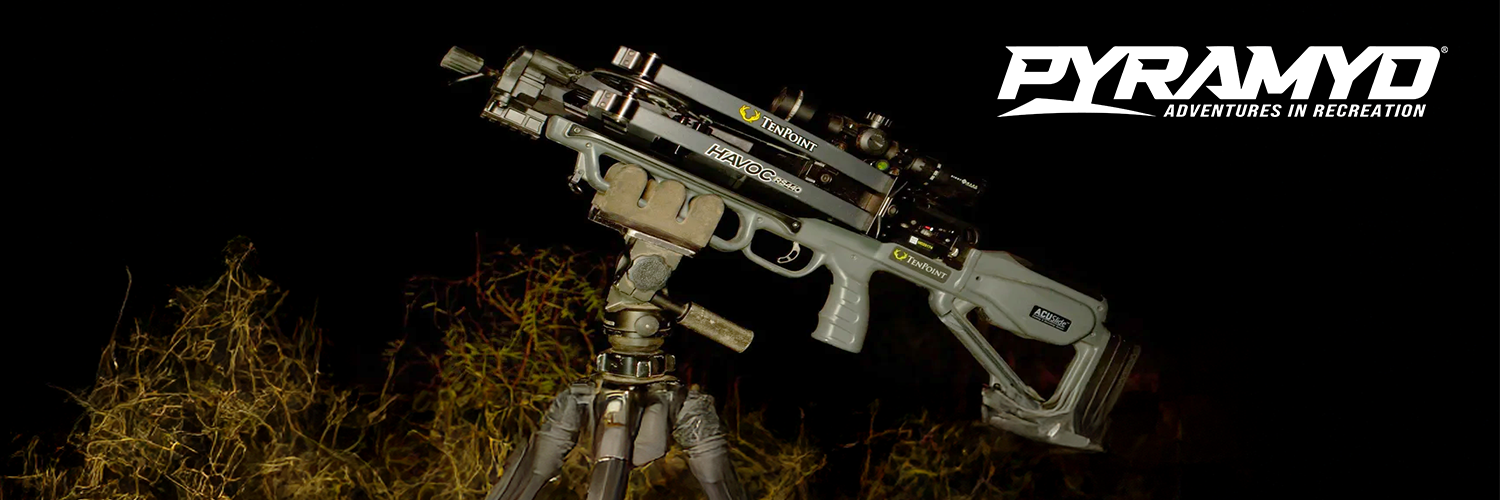 Pyramydair Banner 1.png