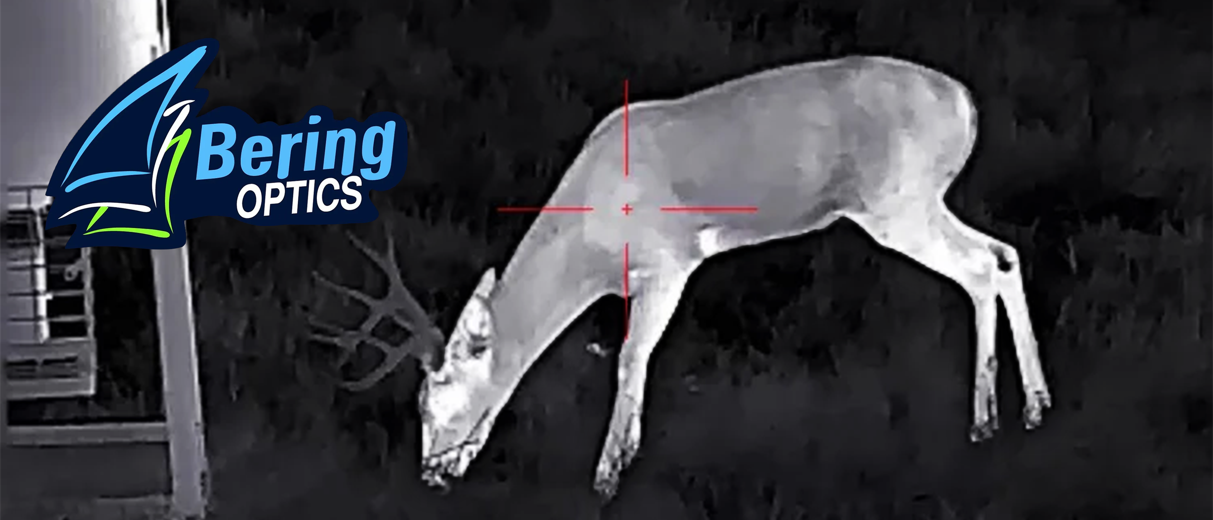 Bering 2.png