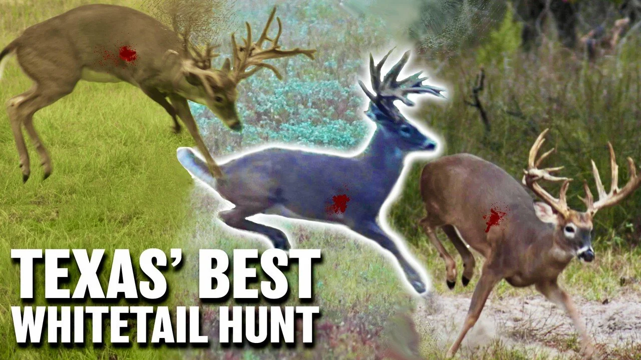 The Best Whitetail Hunting in Texas!!