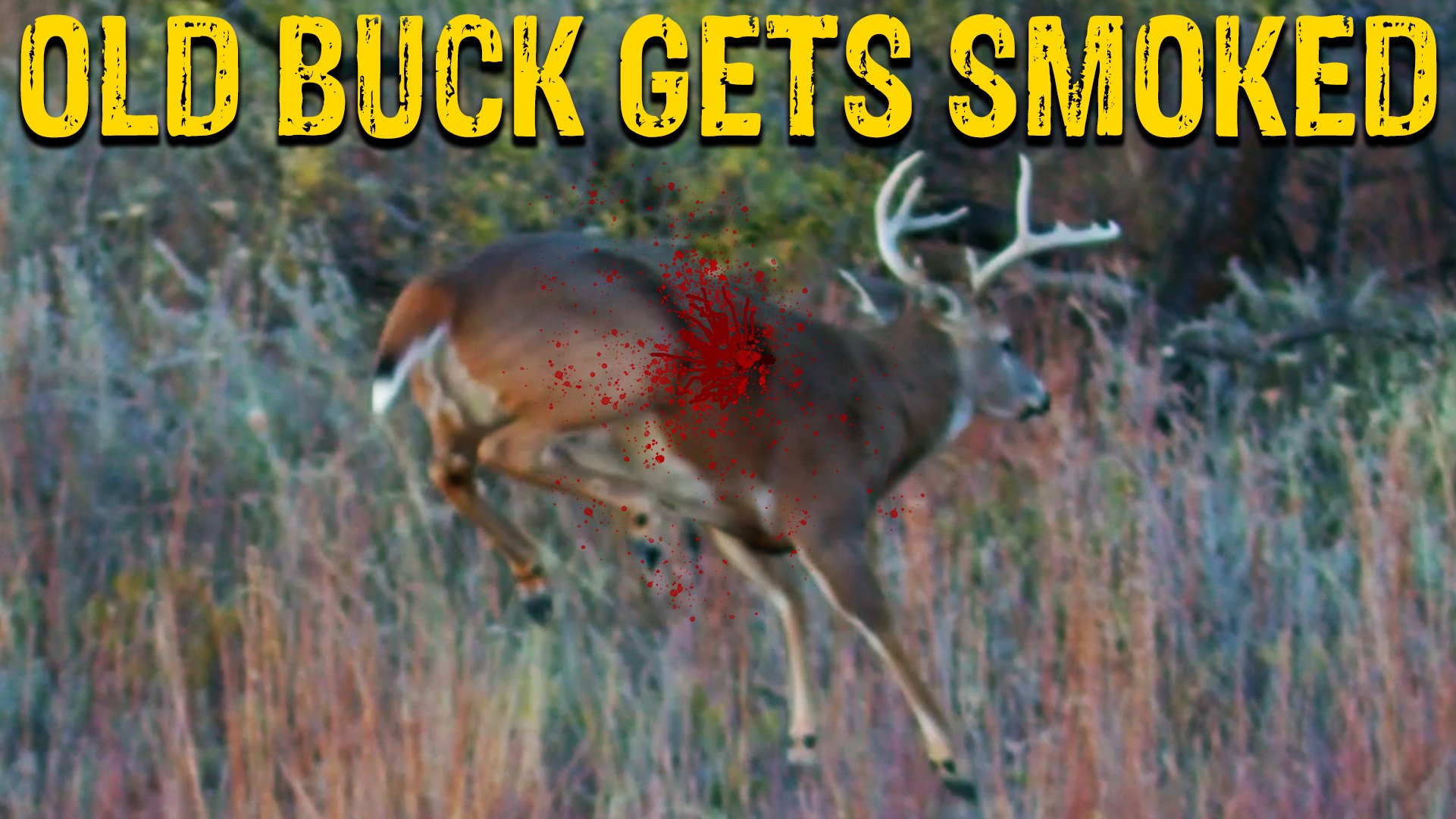 Old Buck Hits the Ground HARD!!! | Managing Whitetail Bucks