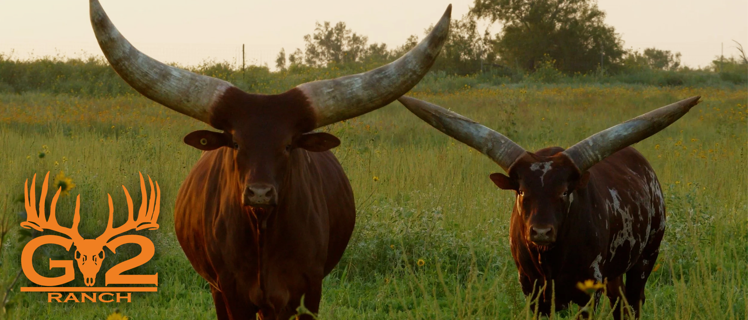 G2 Ranch 1.png
