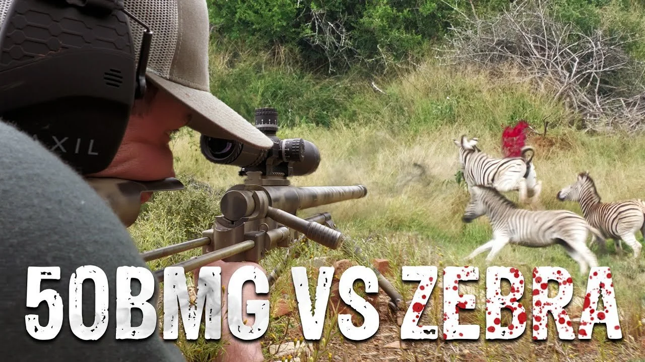 50 BMG ZEBRA BLOODBATH