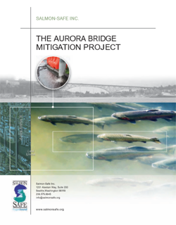 The Aurora Bridge Mitigation Project