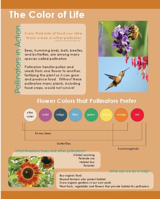 F_CB3_pollinators.jpg