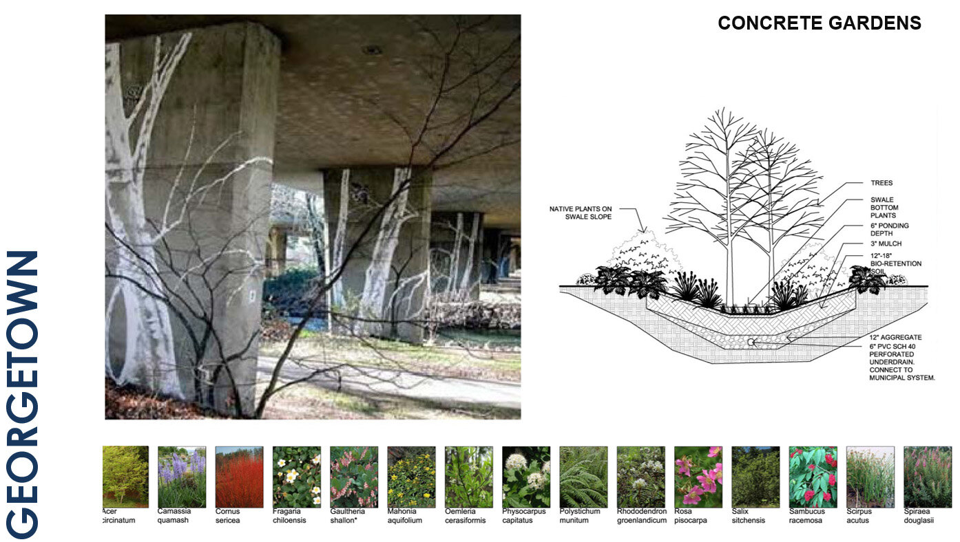 Georgetown - Concrete Garden Concept.jpg