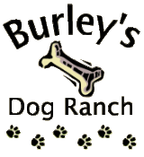 Burley&#39;s Dog Ranch