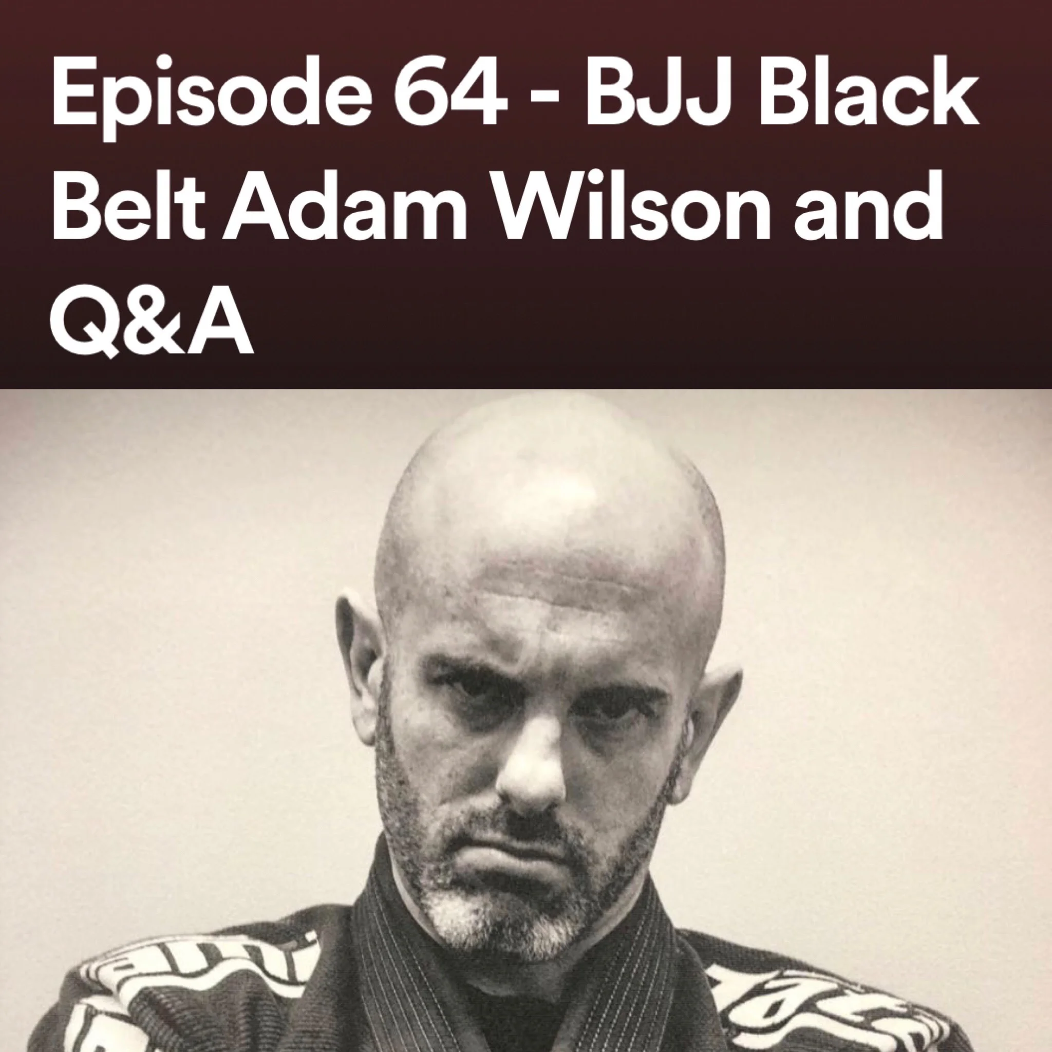 Episode 64 - BJJ Black Belt Adam Wilson and Q&amp;A