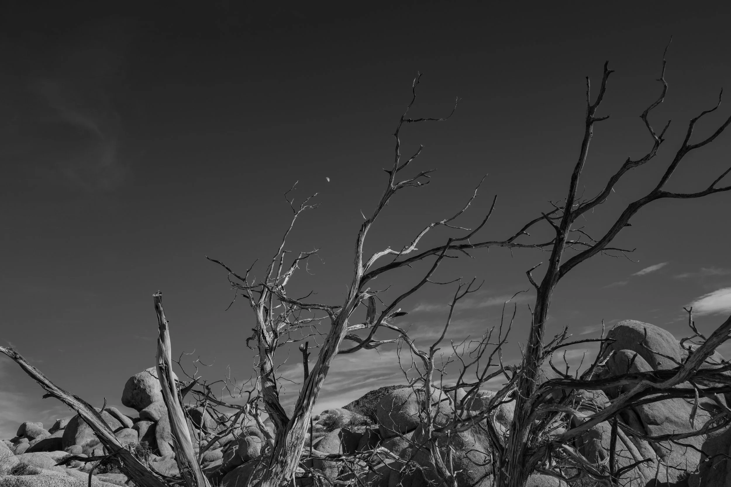 L1140417.jpg