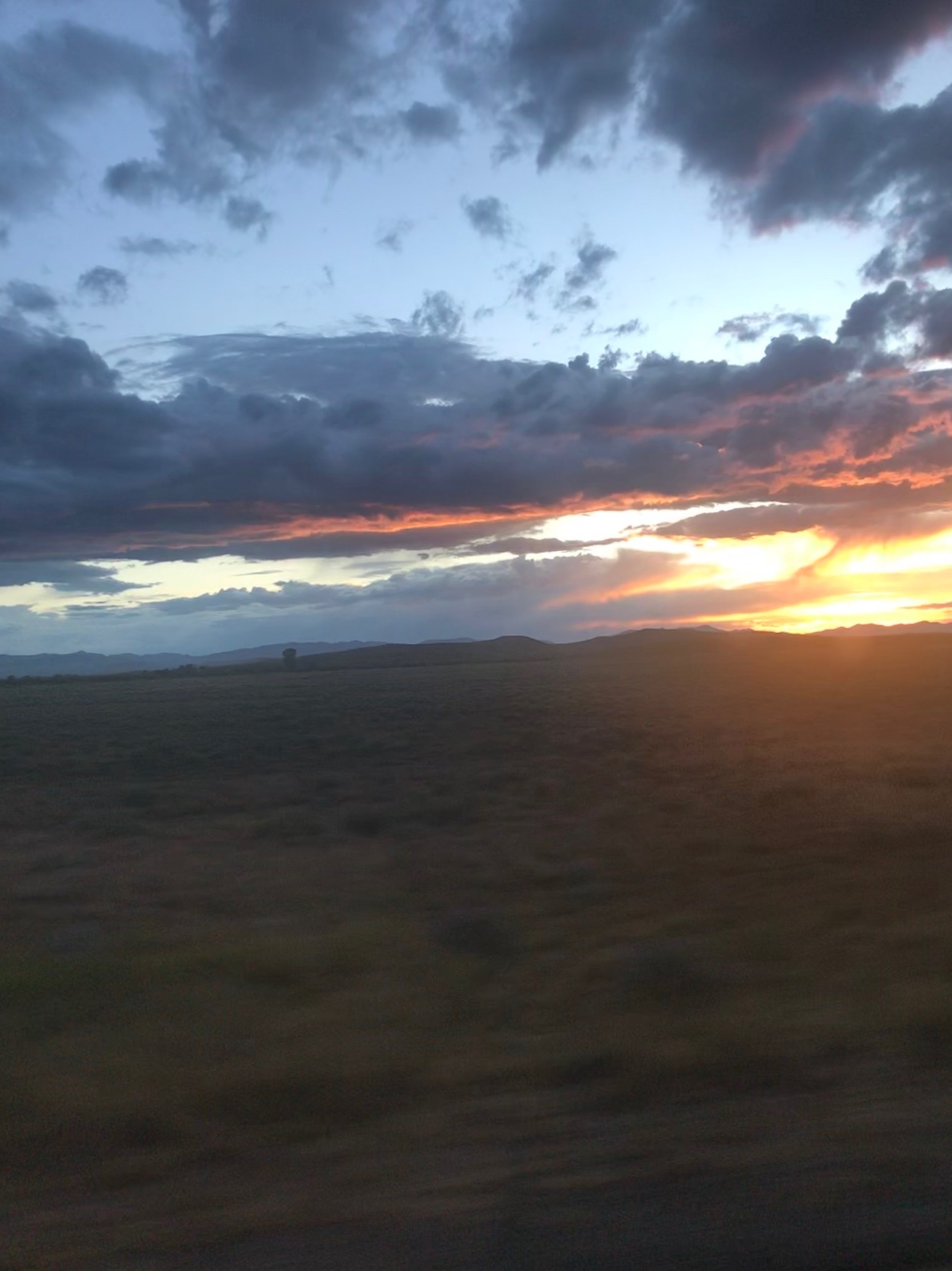 IMG_1934.jpeg