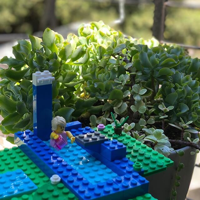 Alternative Memorial Day
@lego #shelterinplace #ratherbeswimming #covid_19 #memorialdayweekend
