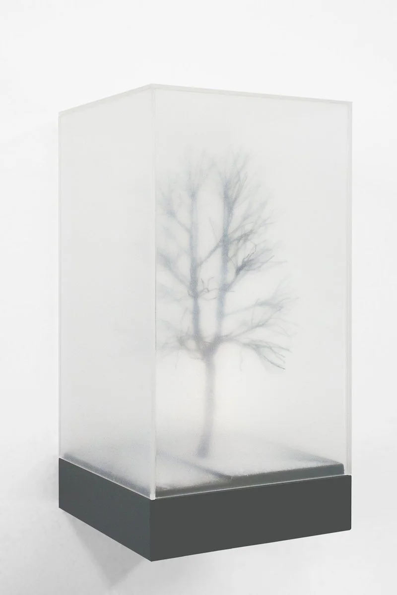 Winterboom, 2019 mdf, alkydverf, decoratiemateriaal, perspex kap. b. 15 – h. 30 – d. 15 cm