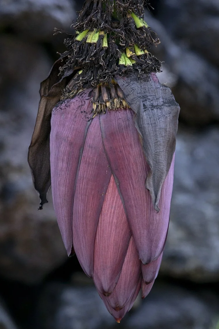 Untitled 0521, Inkjet canson barriet, 70 x 46,5 cm