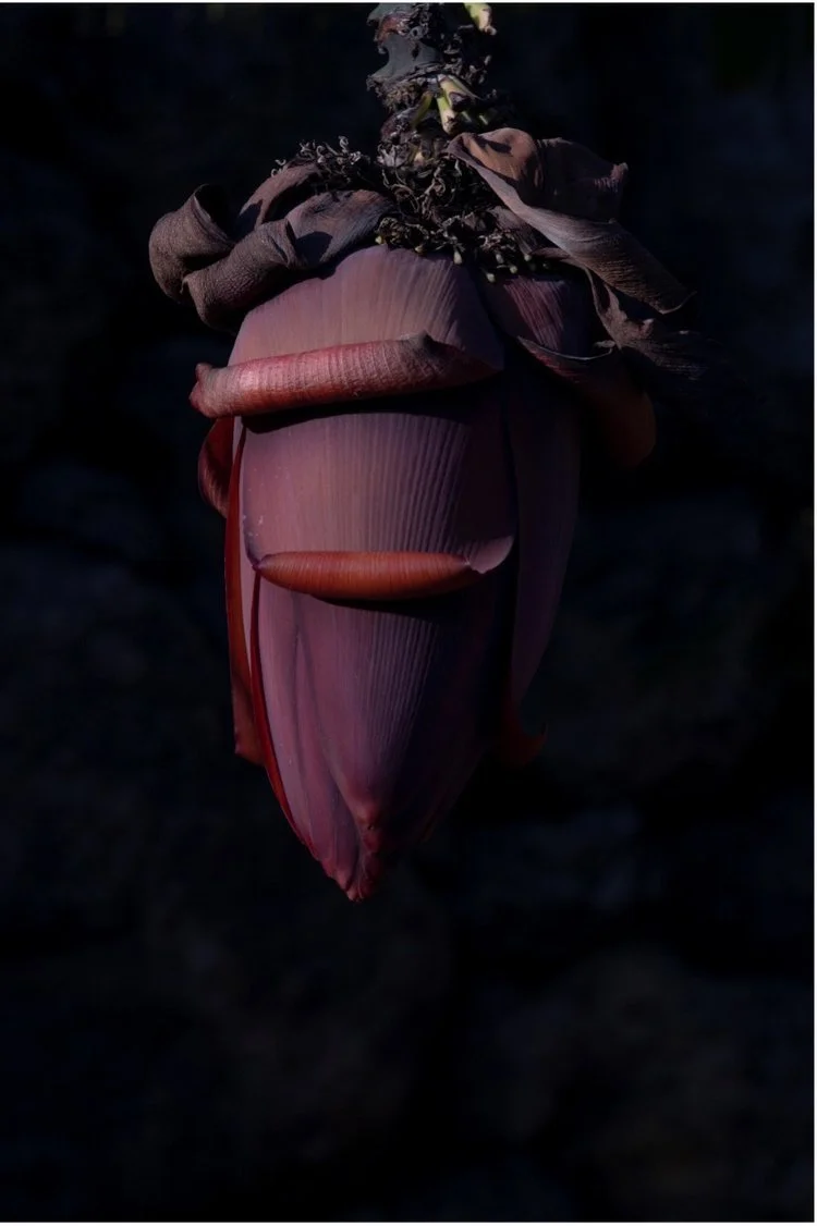 Untitled 5910, Inkjet canson barriet, 70 x 46,5 cm