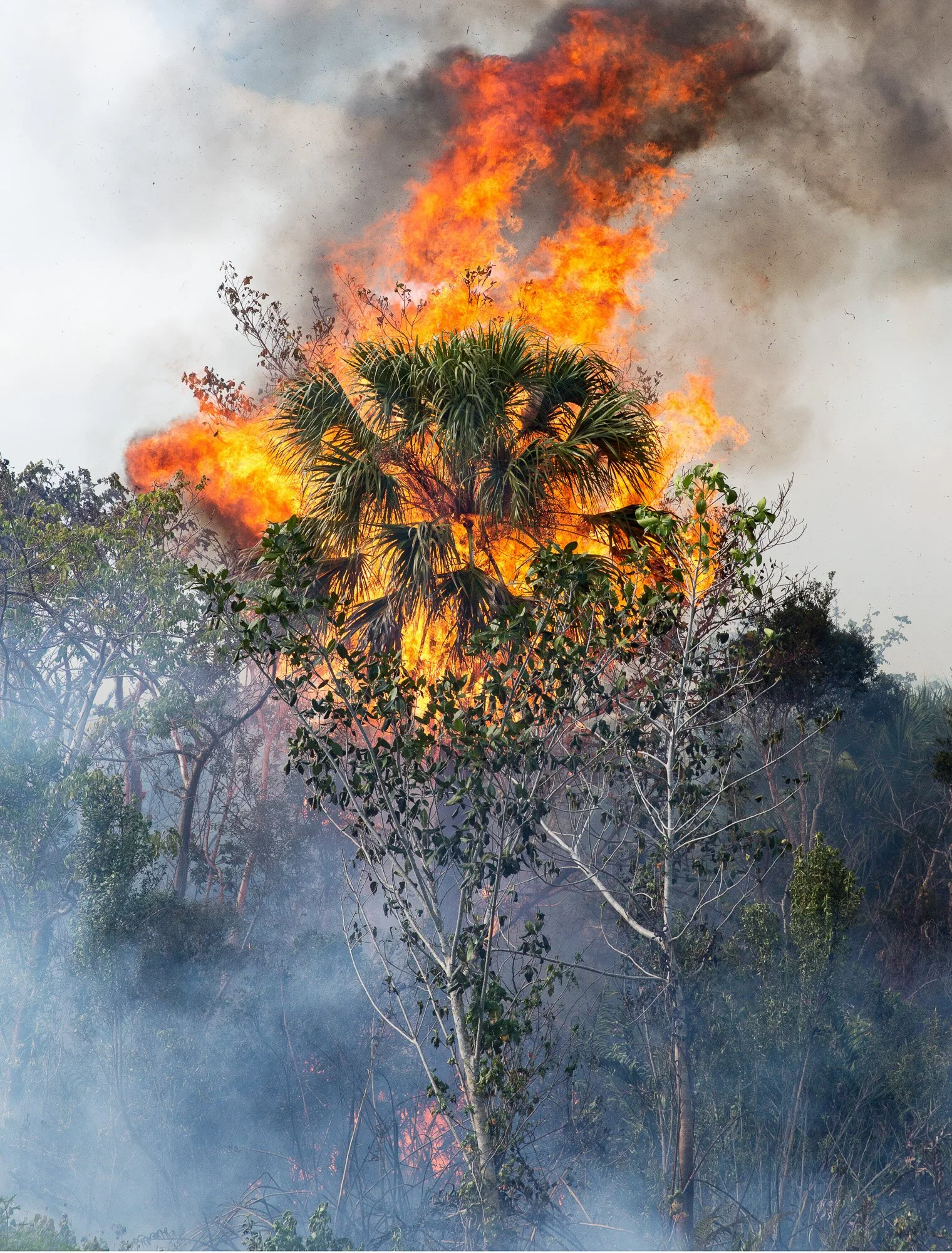 Water 8006, 2020,  archival print in frame with museum art glass, 1/5 + 1AP, 120 x 80 cm