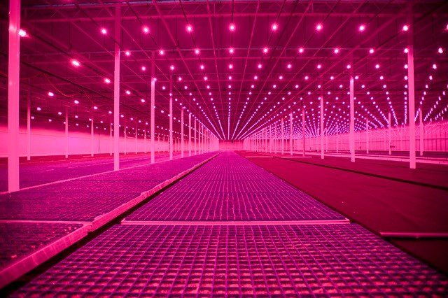 Kadir van Lohuizen - Greenhouse IV, Inkjet-print Mirage Hahnemühle Fine-Art Baryta on Dibond in wood frame, 80 x 120 cm or 120 x 180 cm