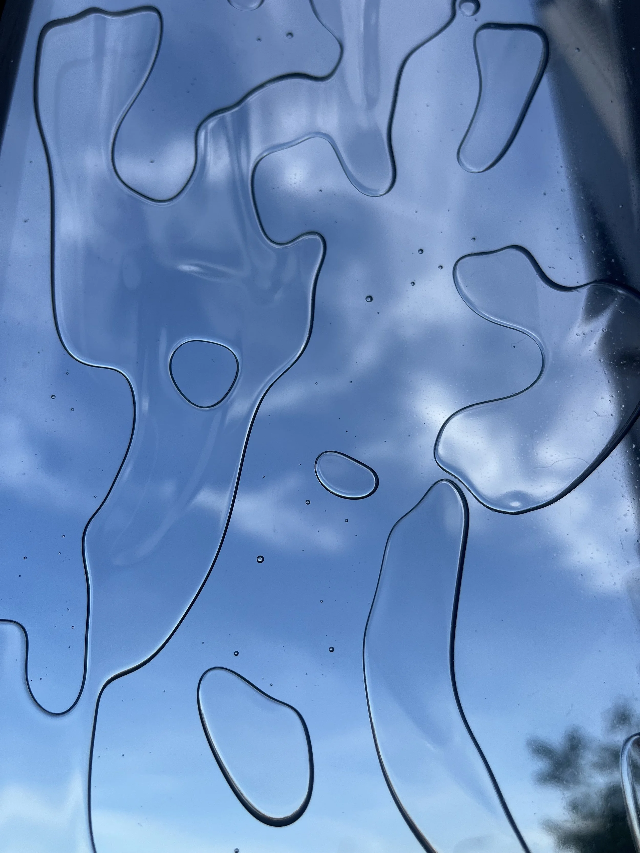 Zoro Feigl - How water grows