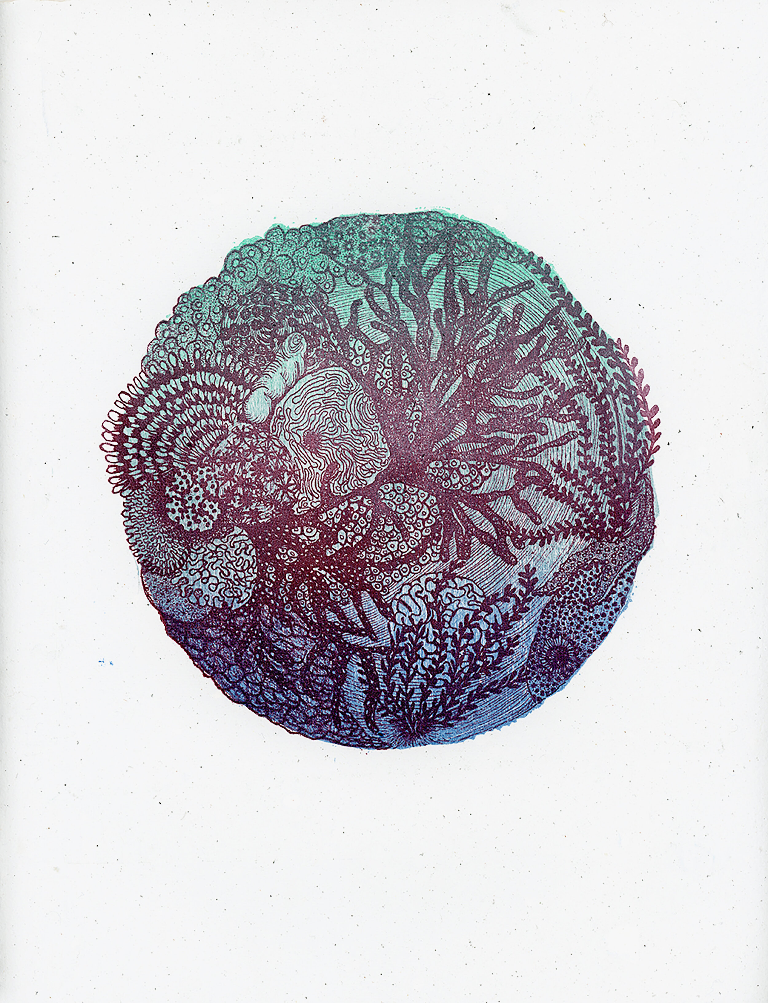 BFP013 Earth Day Print